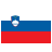 Slovenian to English translation software